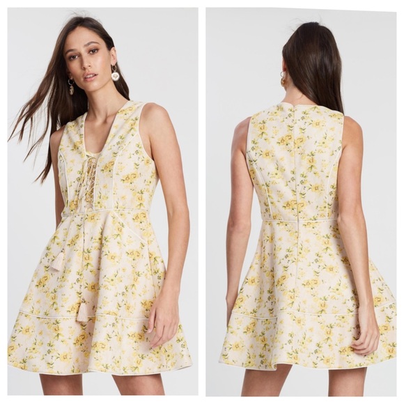 Elliatt Dresses & Skirts - REVOLVE ELLIATT Magnolia Mini Dress with Tassels